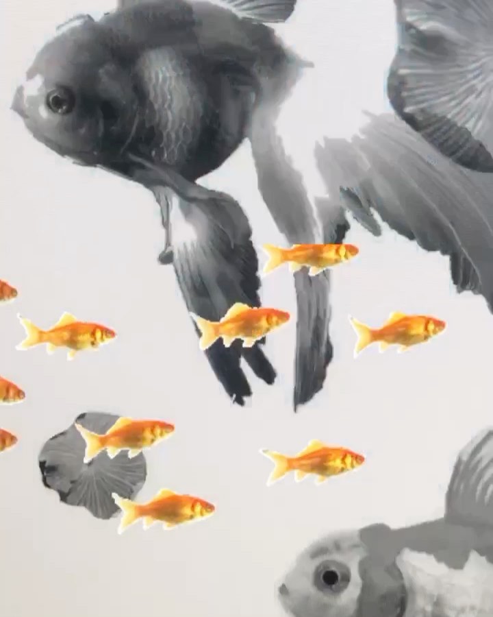 Animal