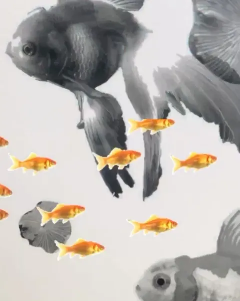 Animal