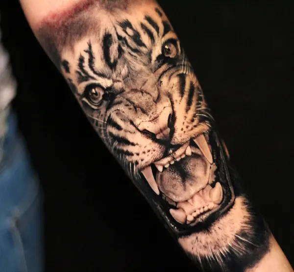Tiger, 일본 호랑이, 중국 호랑이