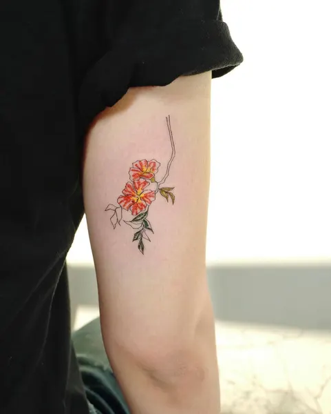 Flower, Rose