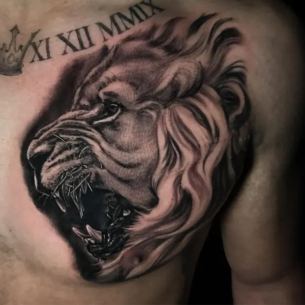 양, Tiger