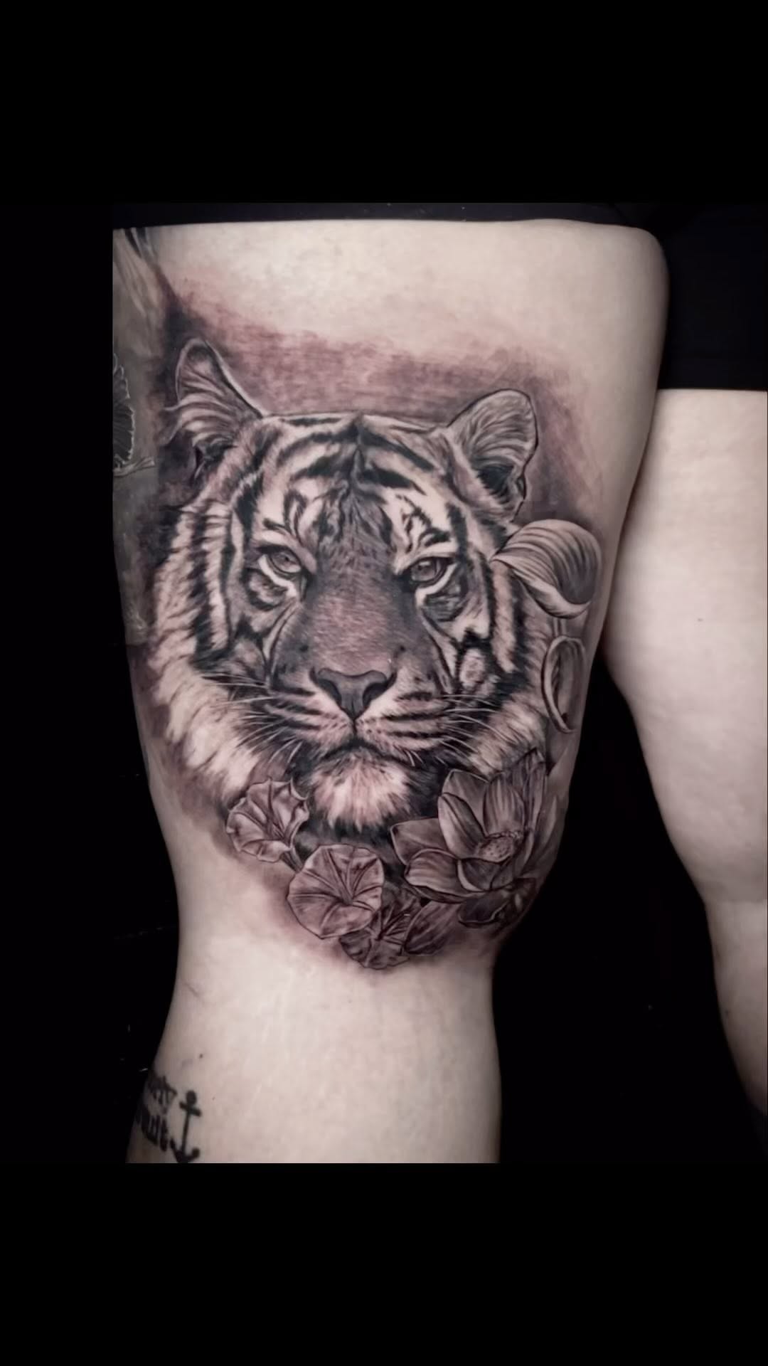 Tiger, 치타, 중국 호랑이