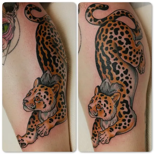 Tiger, Animal, 치타, 팬서, 표범, 재규어