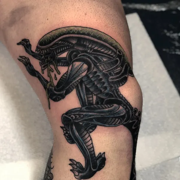 Dragon, 외계인