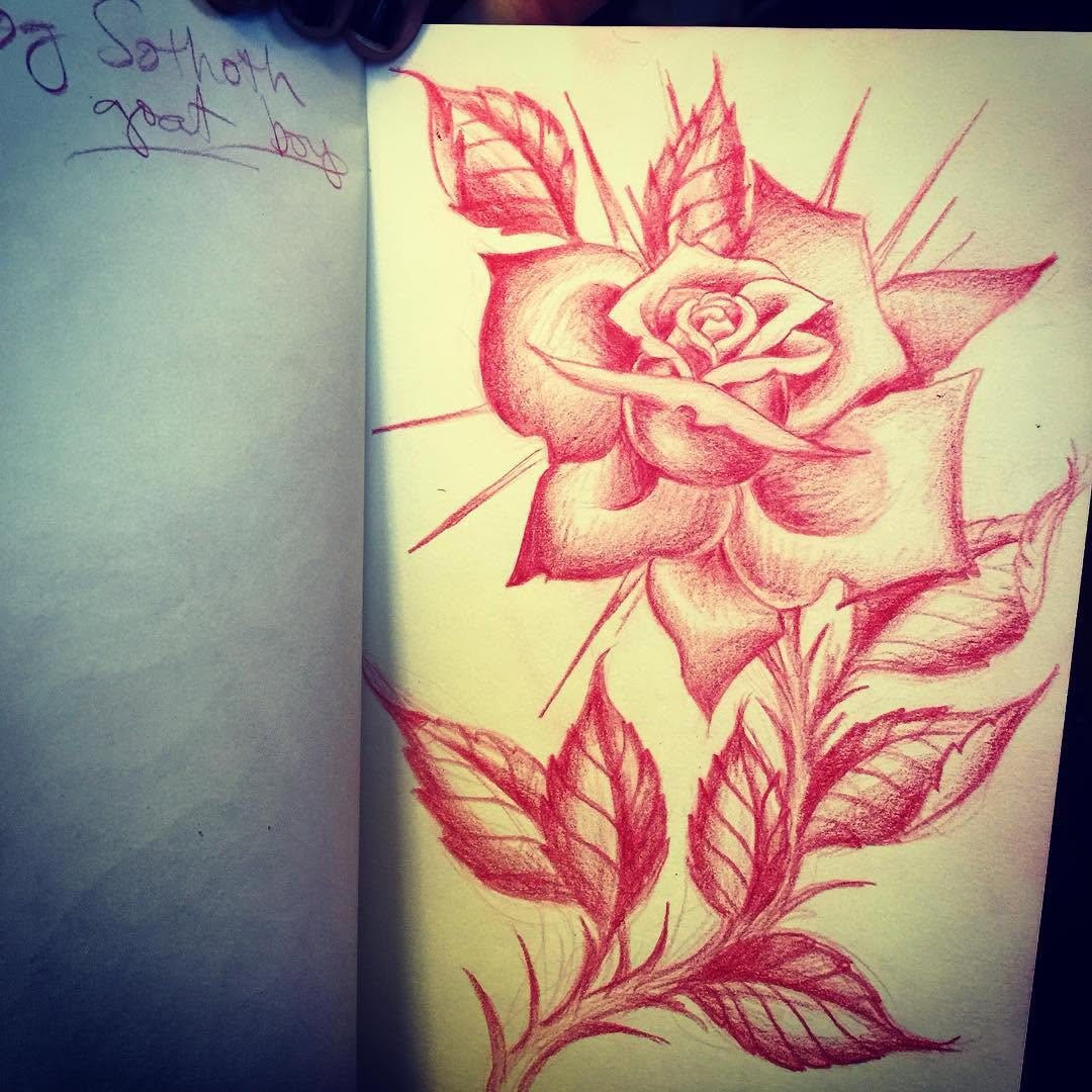 Flower, Rose