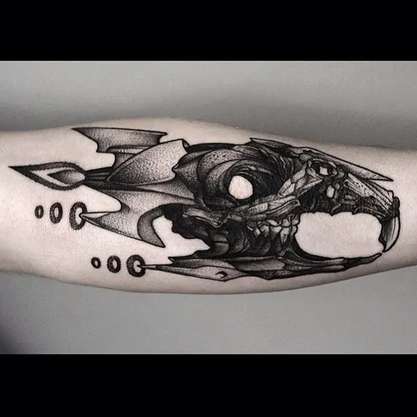 Dragon, SF