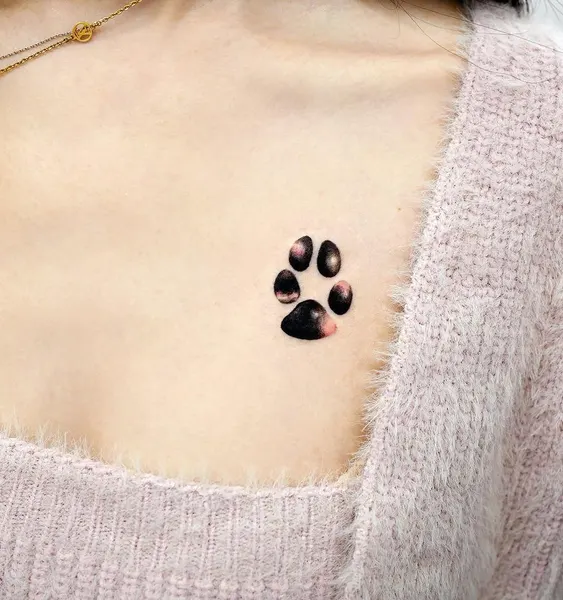 Animal, 발자국