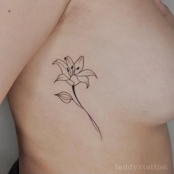 Flower, 백합, 난초, 튤립