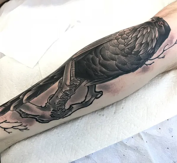 Animal