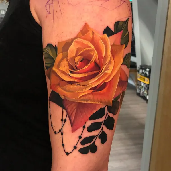 Flower, Rose, Nature