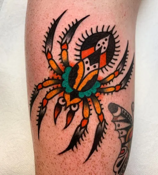 Animal