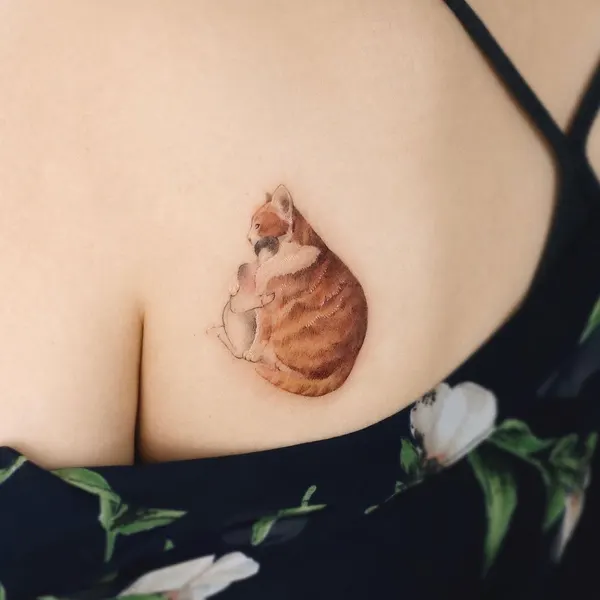 고양이