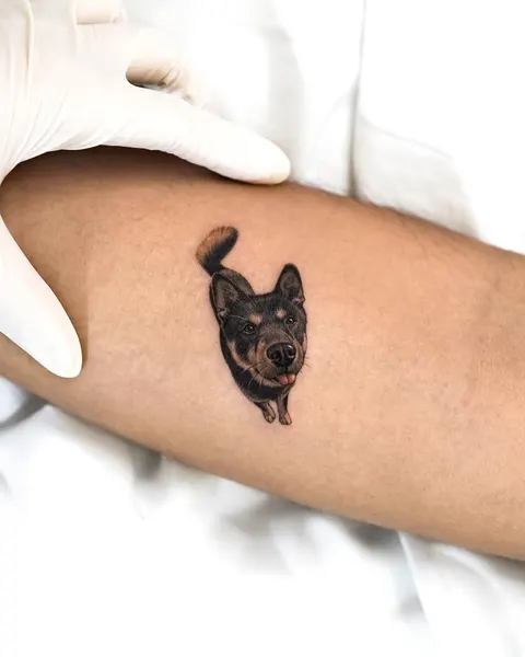 강아지, 반려동물, Animal, 여우, 함사, 다람쥐