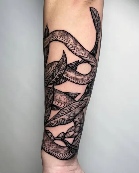 Dragon, Snake