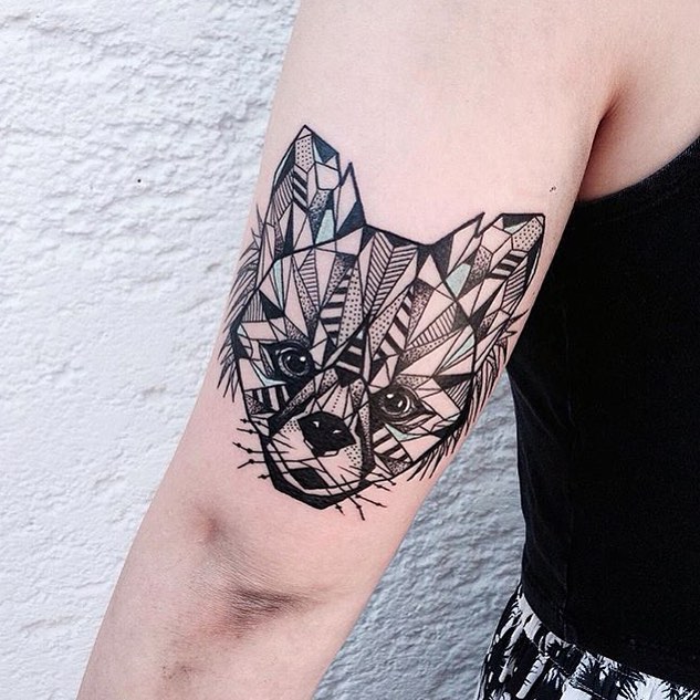 Tiger, Animal