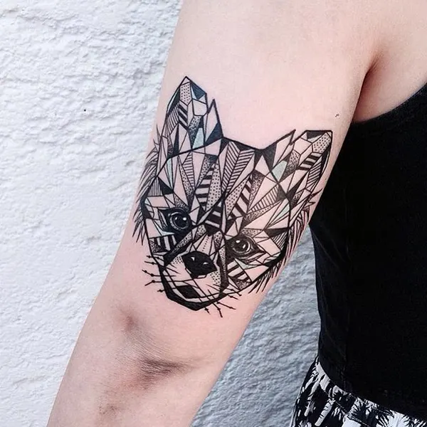 Tiger, Animal