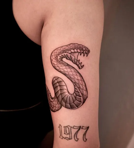 Dragon, Snake