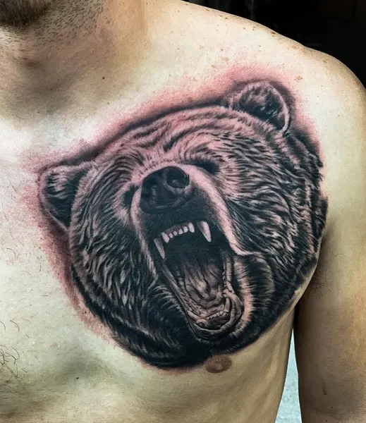 Animal, 곰