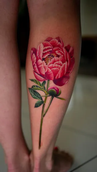 Flower, Rose, 튤립