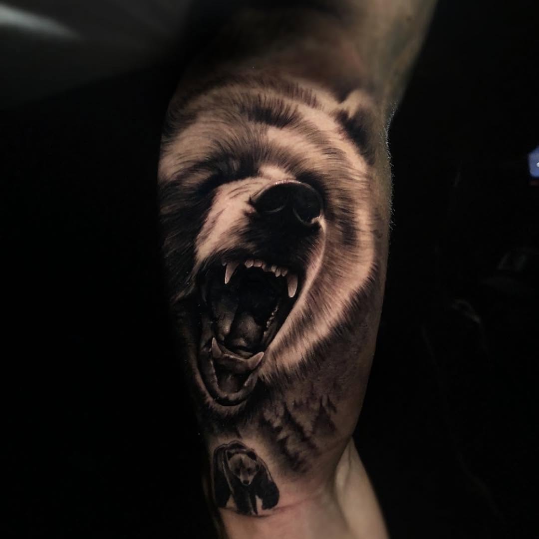 Animal, 고릴라