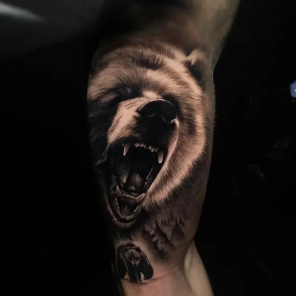 Animal, 고릴라