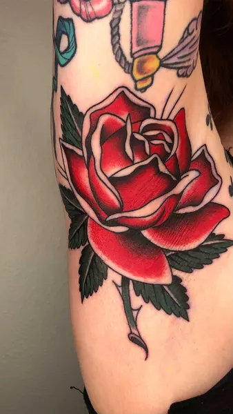 Flower, Rose
