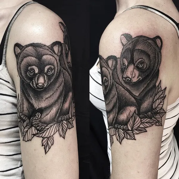 Animal, 곰