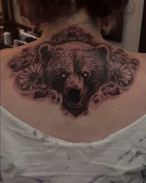 Animal, 곰, 멧돼지, 코알라