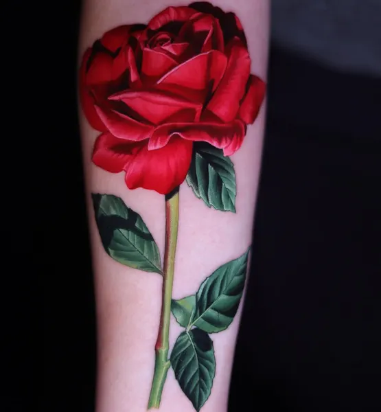 Rose, Flower