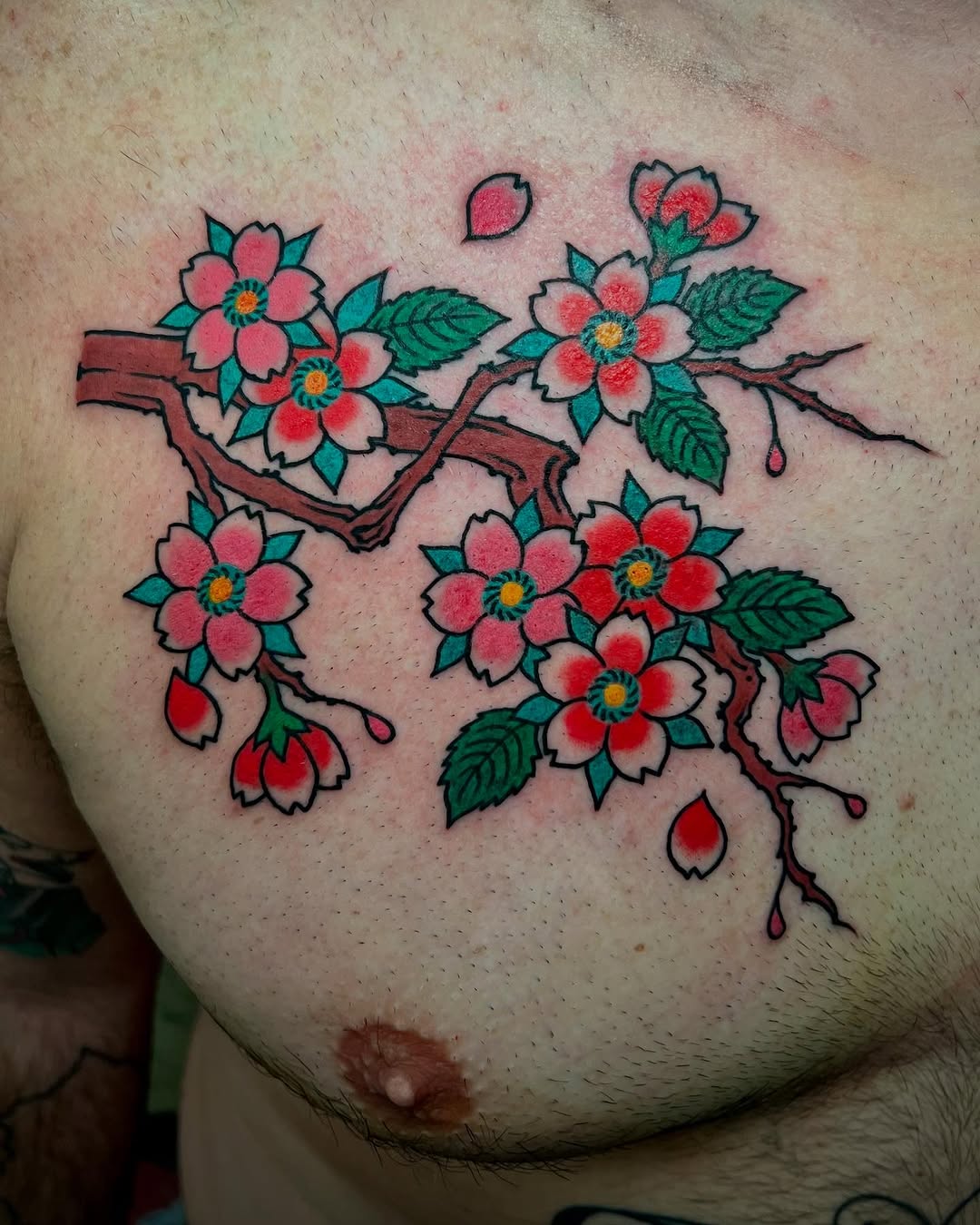 Flower, Nature, Rose
