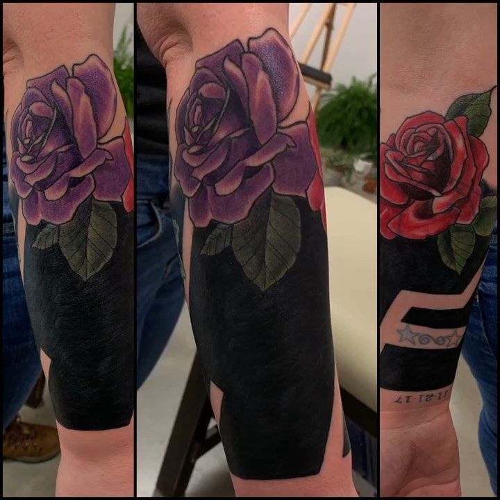 Flower, Rose