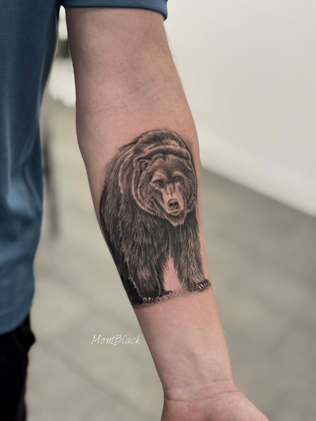 Animal, 곰, 고릴라, 원숭이, 나무늘보