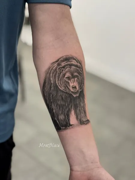 Animal, 곰, 고릴라, 원숭이, 나무늘보