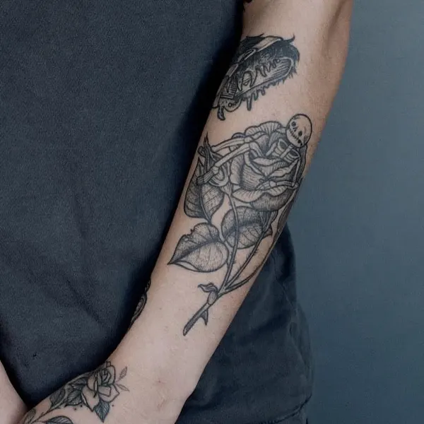 Flower, Rose