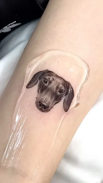반려동물