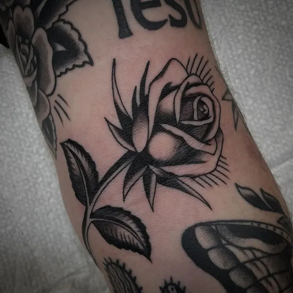 Flower, Rose
