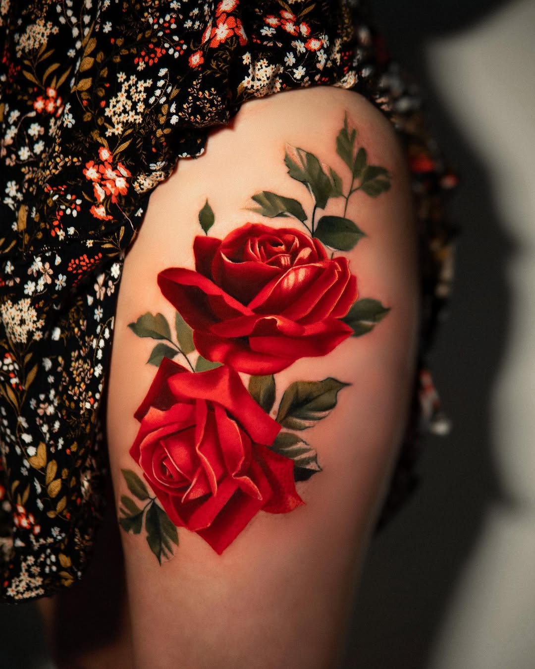 Flower, Rose, Nature