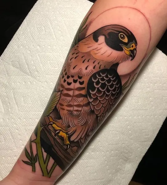 Animal