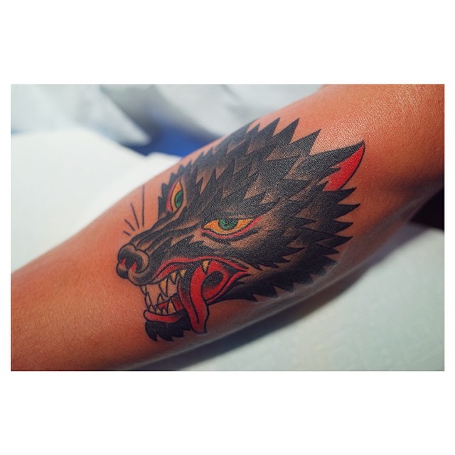 Animal, Tiger