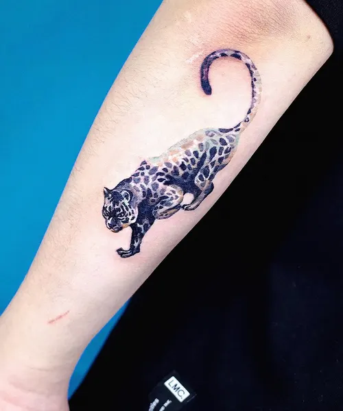 Tiger, 표범, 팬서, 치타, Animal
