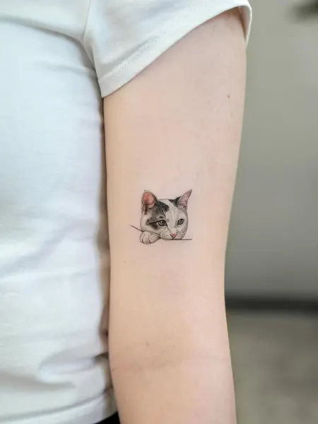 여우 가면, 고양이