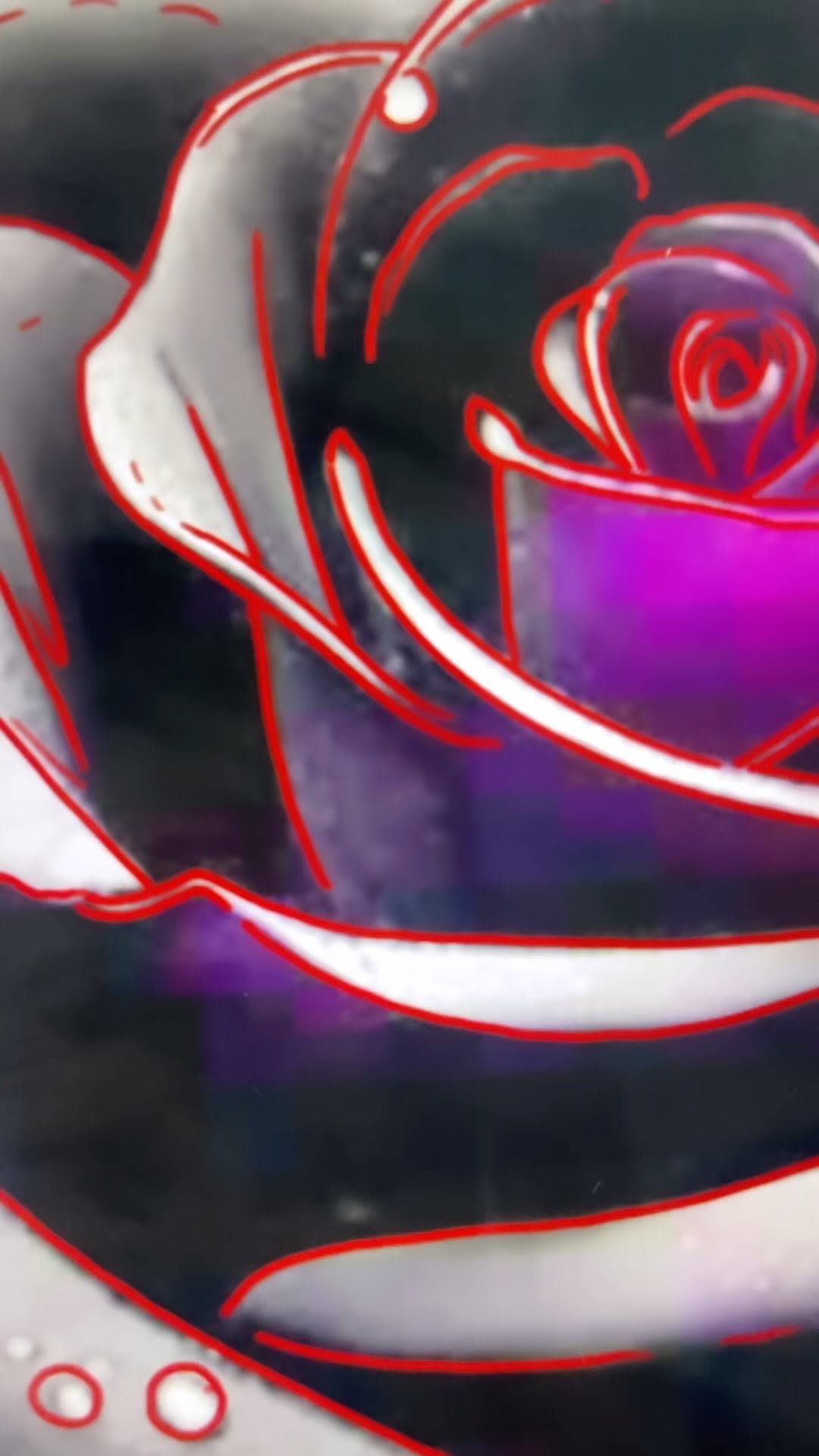 Flower, Rose