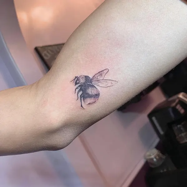 Animal, 벌