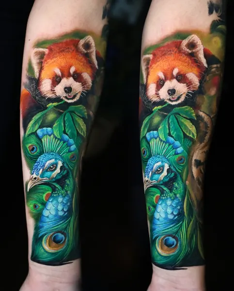 Animal, 판다
