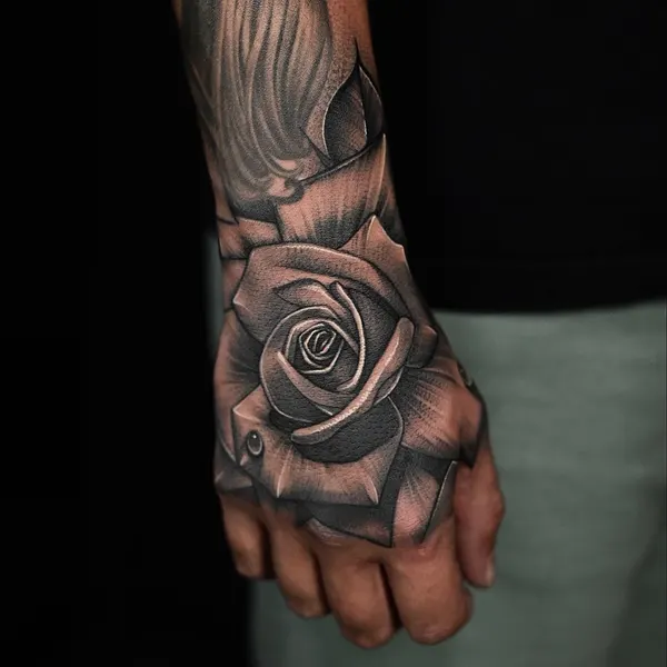 Flower, Rose