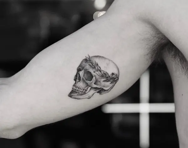 뼈, Skull