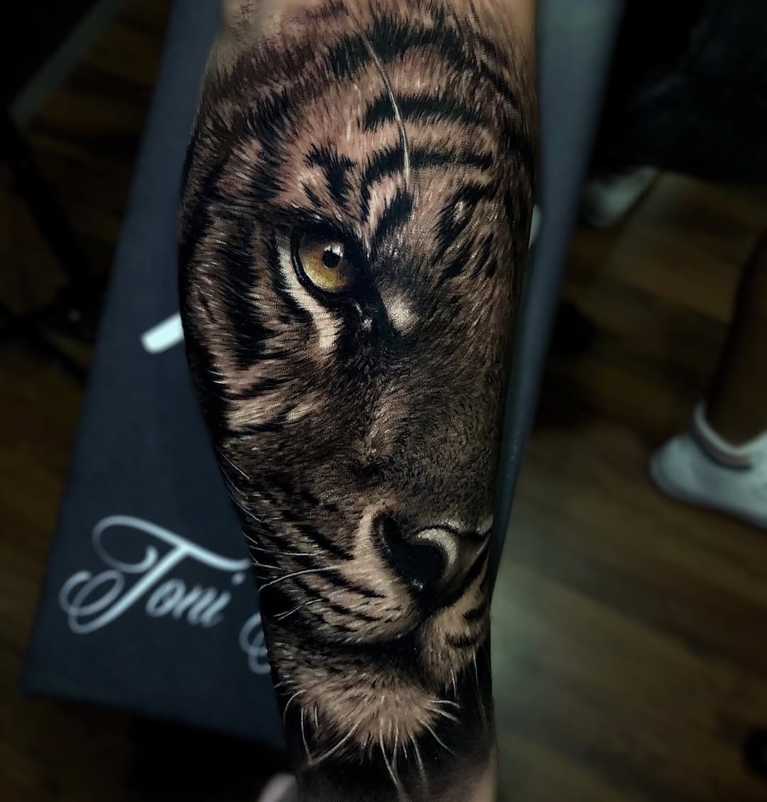 Tiger, 중국 호랑이, 일본 호랑이