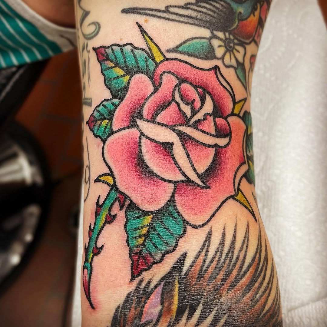Flower, Rose