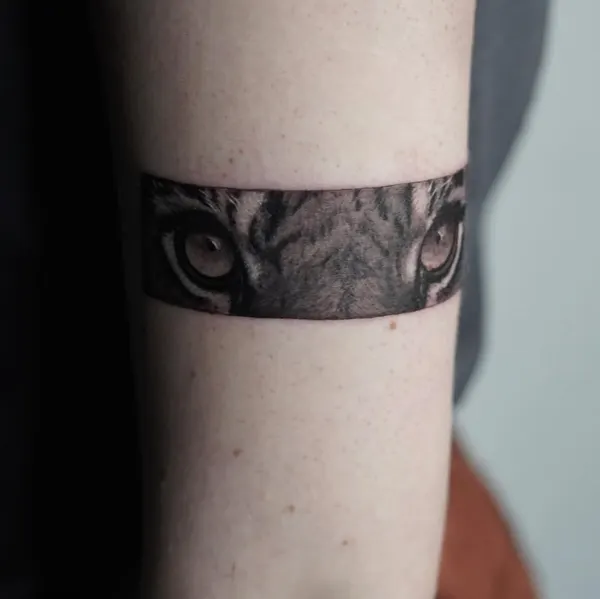 Tiger, 카메라
