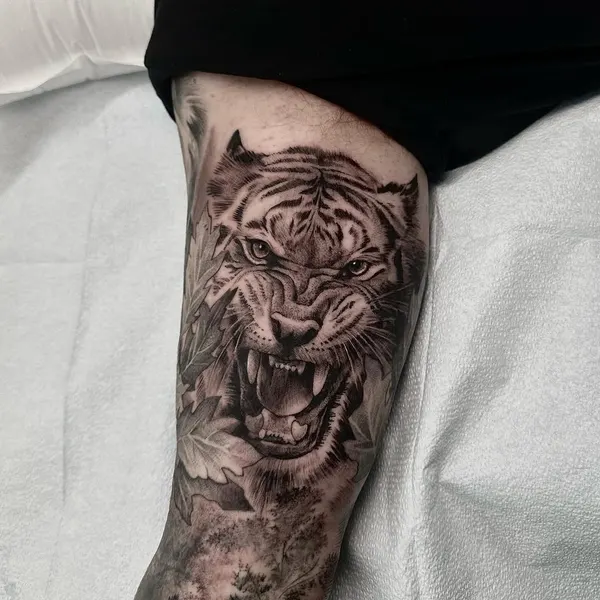 Tiger, 한국 호랑이